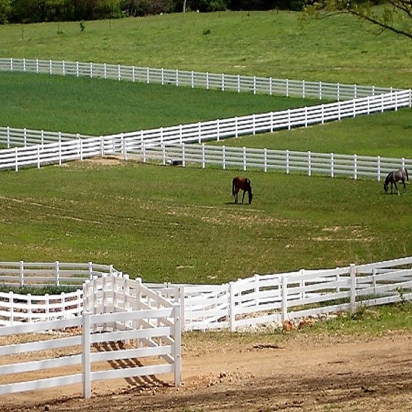 7 white horse fences 7 white horse fences